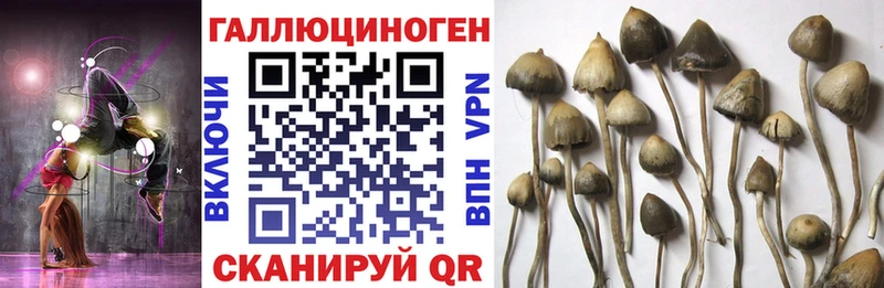 Псилоцибиновые грибы MAGIC MUSHROOMS  Невельск 